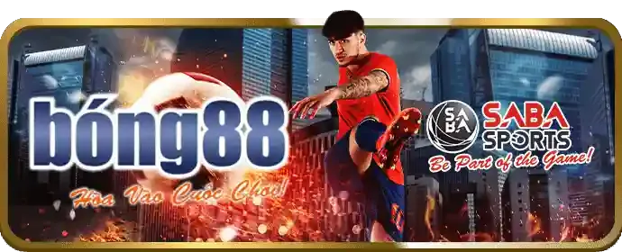 Tích lũy điểm cược